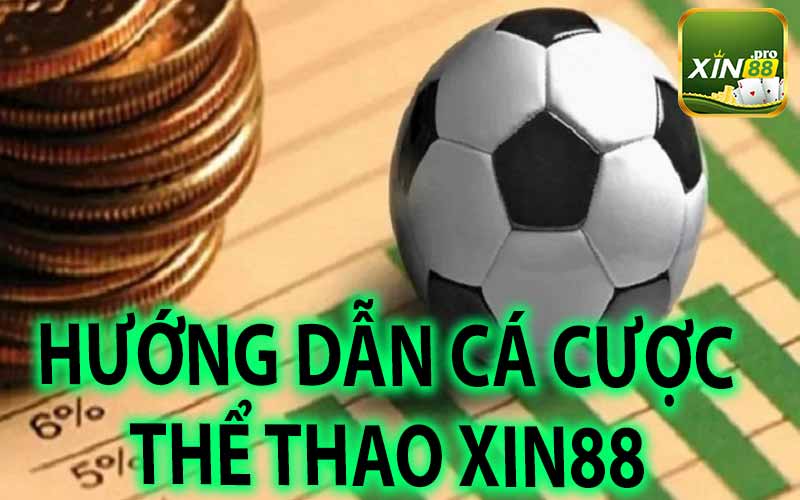 Hướng Dẫn Cá Cược Thể Thao Xin88